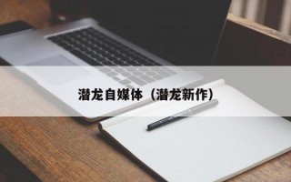 潜龙自媒体（潜龙新作）