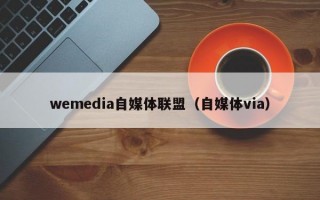 wemedia自媒体联盟（自媒体via）