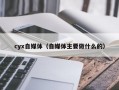 cyx自媒体（自媒体主要做什么的）