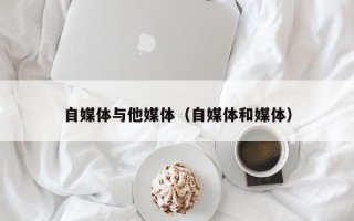 自媒体与他媒体（自媒体和媒体）