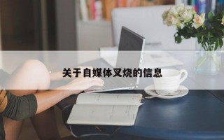 关于自媒体叉烧的信息