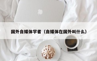 国外自媒体学者（自媒体在国外叫什么）